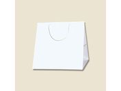 wCR[/񂰎 uCgobO C0  10/006459400