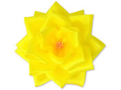 TTK {o   ^Ȃ Ԍa95mm 12