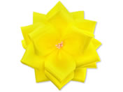 TTK {o   ^Ȃ Ԍa70mm 20