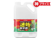 �A�C���X�I�[���} ���������� 4L WSJ�[4L