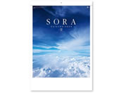 V{J_[ SORA -- NK8134