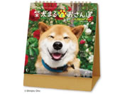 V{J_[/ Č܂Ƃ/NK8529