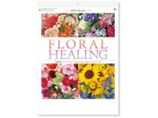 V{J_[/t[q[O ԗÖ@/NK8071