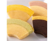 P)�����D��/����t���[�c�N�[�w�� 16��/PGS-164