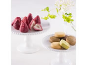 P)�����D��/�������V���R��&�N�b�L�[ 20��/PGS-254