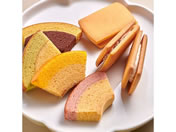 P)�����D��/����K�g�[�Z���N�V���� 15��/PGS-428