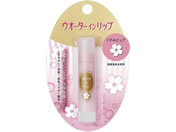 �t�@�C���g�D�f�C �E�I�[�^�[�C�����b�v�����݃s���A