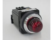 IDEC/pCbgCg /APN116DNR