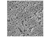 Merck/Nylon Membrane. Hydrophilic. 1.2 m. 47 mm. white. plain; 100/Pk 100PK/RNWP04700