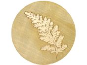 Pebeo/Artemio シーリングスタンプ シダ 13050049