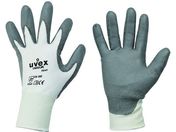 UVEX/jhDA 6641 TCY L 6021069