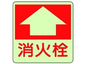 jbg hΕW ΐE~XebJ[E300X300825-53