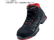 UVEX/u[c ubN 27.5CM8547.5-43