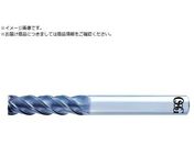 OSG/���d�h�U�^�G���h�~�� �����O�` �X�N�G�A�^�C�v AE-VML 8556330AE-VML 8X32 8556330