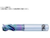 OSG/��S�p���d�G���h�~�� ���@�\�^�C�v 3�n �V���[�g�` 8557363AE-VTS-N 6X18 8557363