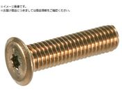 TRUSCO/ヘックスローブ超極低頭ねじ ステンレス ブロンズ M6×12 10本入B186-0612