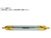 }/OVNR[eBO˂aA`60 Z^h CD-SL V L100 4X60X10 CD-SL-V-100-4X60X10