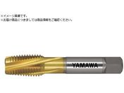 ���}��/�����p�ʂ茊�p�X�p�C�����^�b�v F-SL P4 M22X2.5 F-SL-P4-M22X2.5
