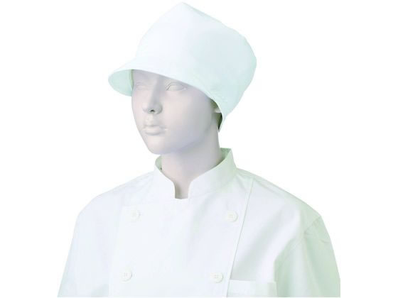 KAZEN WLD �L���b�v �z���C�g APK481-40