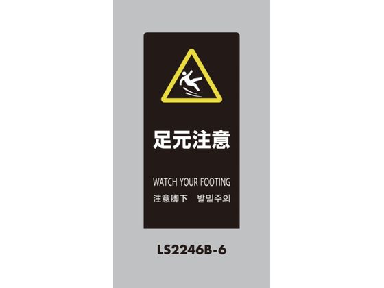  X^hTC LSTC ubN  LS2246B-6