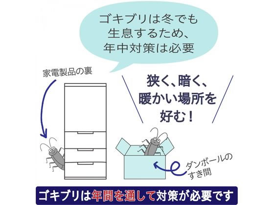 アース製薬 ブラックキャップ スキマ用 16個 | Forestway【通販