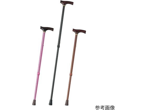 �J���[�X�e�b�L(�L�k��)�u���b�N 0-5813-24