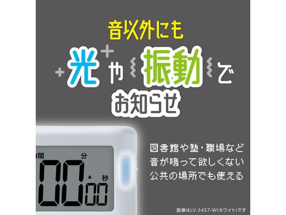 ソニック トキ・サポ めざせ合格カウントダウン タイマー 100時間 ホワイト 通販【フォレストウェイ】