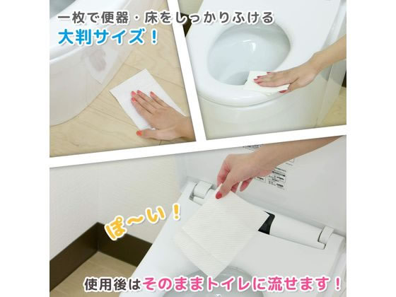 レック 激落ち超厚流せるトイレクリーナー大判タイプ2個パック S00607 通販【フォレストウェイ】