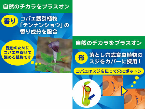 金鳥 コバエがポットン置くタイプT | Forestway【通販フォレストウェイ】