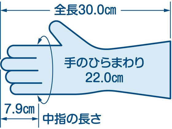 エステー ファミリー ビニールうす手 指先抗ウイルス加工 L グリーン 1双 通販【フォレストウェイ】