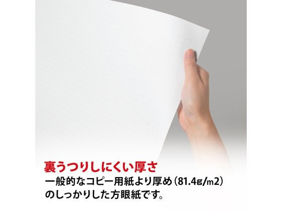 オキナ 方眼模造紙 全判プロジェクト 白 50枚巻 TPZ1WH | Forestway