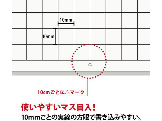 オキナ 方眼模造紙 全判プロジェクト 白 50枚巻 TPZ1WH【通販