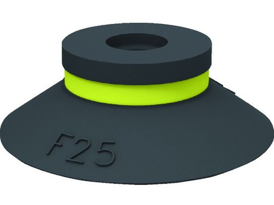 sAu TNVJbv F25.10 01 01 131 F25.10