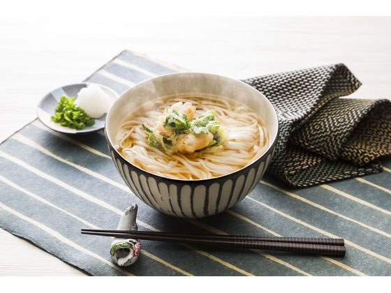 一流の品質 海津屋 氷見うどん 海津屋 氷見うどん 細麺 加工食品 国産