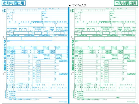 ヒサゴ 給与支払報告書 個人別明細A4 2面30枚 OP1195MSR | Forestway