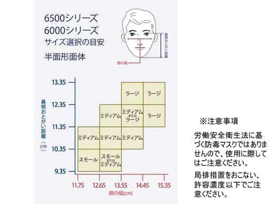 3M 取替え式 防じんマスク 6000 2091-RL3 ラージサイズ【通販