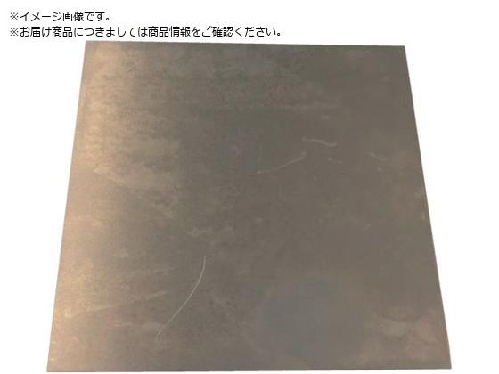 TRUSCO Vv[g S 0.1~100~100mm SISPC0.1-100-100