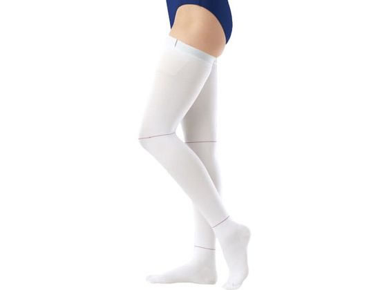 �A���P�A �A���V���N�E�v��J(�X�g�b�L���O)�����@�\�X�g�b�L���O�E�\�b�N�X 23-6317-06 17582(L)�J�^�A�V