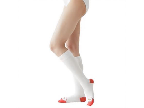 �A���P�A �A���V���N�E�v��J�L�[�v�P�A(10�� �����@�\�X�g�b�L���O�E�\�b�N�X 25-3594-04 20325(SS)�n�C�\�b�N�X