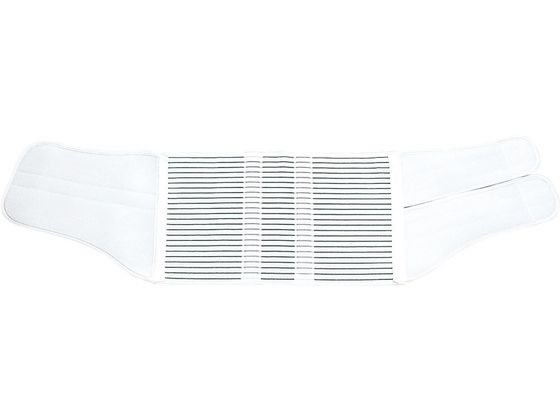 �A���P�A �T�N���t�B�b�N�X(M)�A���P�A 10663(1�R�C��)