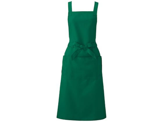 KAZEN WLD �����ăG�v���� L �O���[�� APK494-22