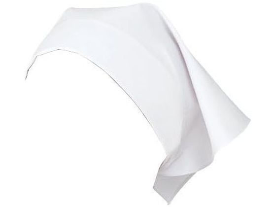 KAZEN WLD �O�p�z O-157�Ή� �z���C�g 10���~10�� 477-90