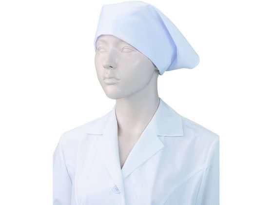 KAZEN WLD �O�p�z M �z���C�g 10���~10�� 477-30