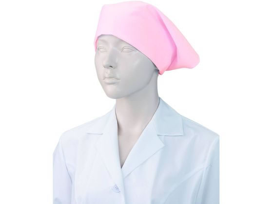 KAZEN WLD �O�p�z M �s���N 10���~10�� 477-33