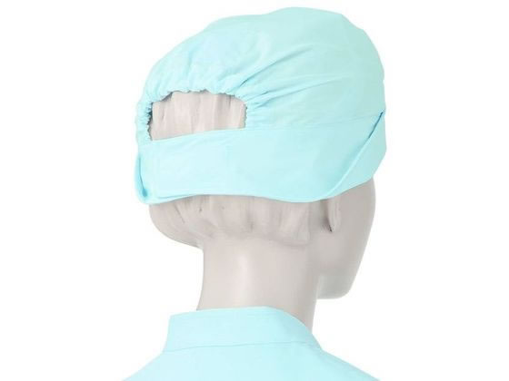 KAZEN WLD �⏕�Ō�X�q �T�b�N�X 2���~2�� 180-31