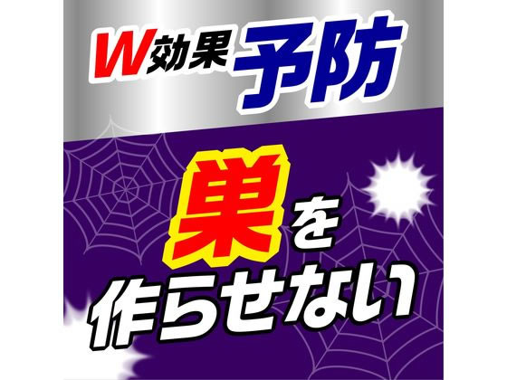 アース製薬 クモの巣消滅ジェット 450mL 2本パック 通販【フォレストウェイ】