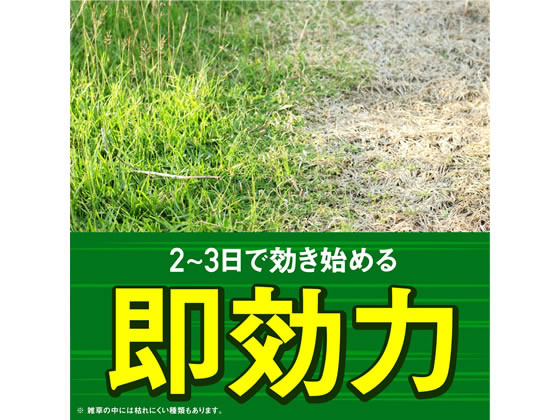 アース製薬 アースカマイラズ 草消滅 ジョウロヘッド 2L | Forestway