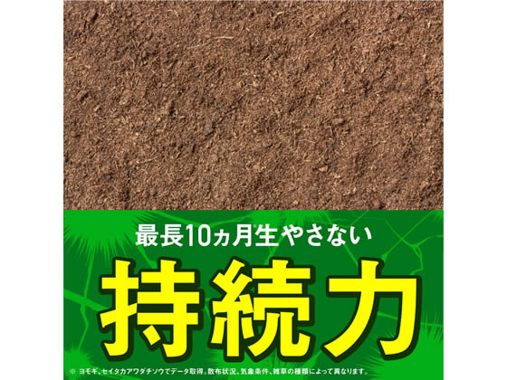 アース製薬 アースカマイラズ 草消滅 ジョウロヘッド 2L | Forestway