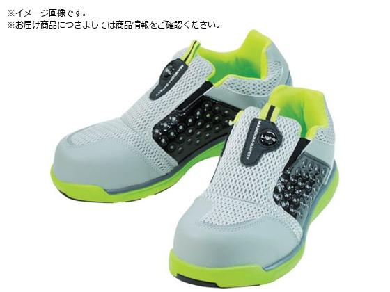 MARUGO }_Z[teB[#767 C O[ 22.5cm