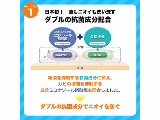 持田ヘルスケア コラージュフルフル 泡石鹸 つめかえ用 210ml【通販